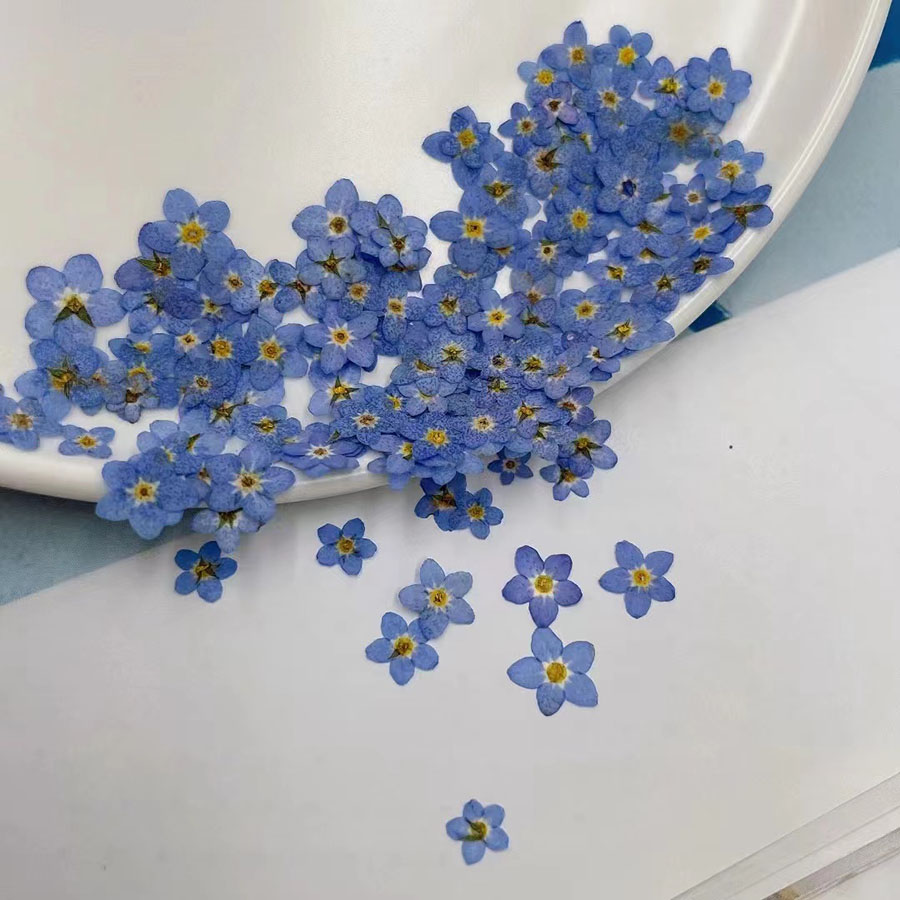 60 قطعة من الزهور المجففة الصغ - مراجعة Resin Art Equipment وسعره
