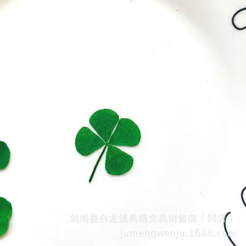 12 قطعة محظوظ المجففة ورقة الب - مراجعة Resin Art Baby وسعره